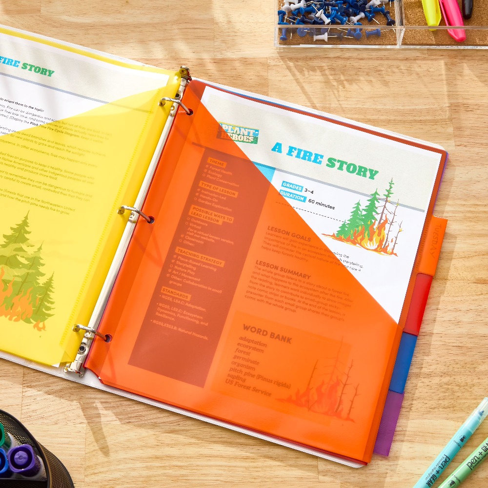 Vibrant Color Index Tab Divide - Tab Divider A4 บทวิจารณ์และราคา
