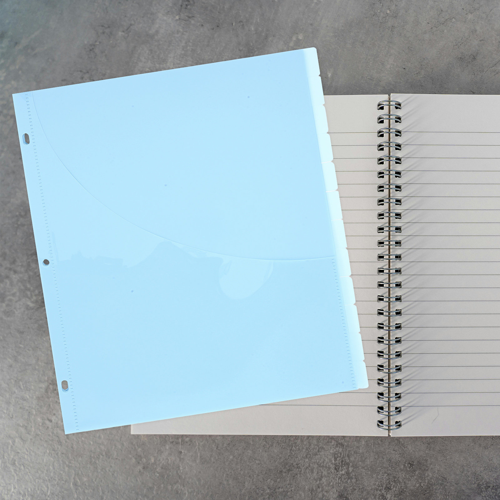 12Pcs Binder Dividers A4 Size  - Tab Divider A4 บทวิจารณ์และราคา