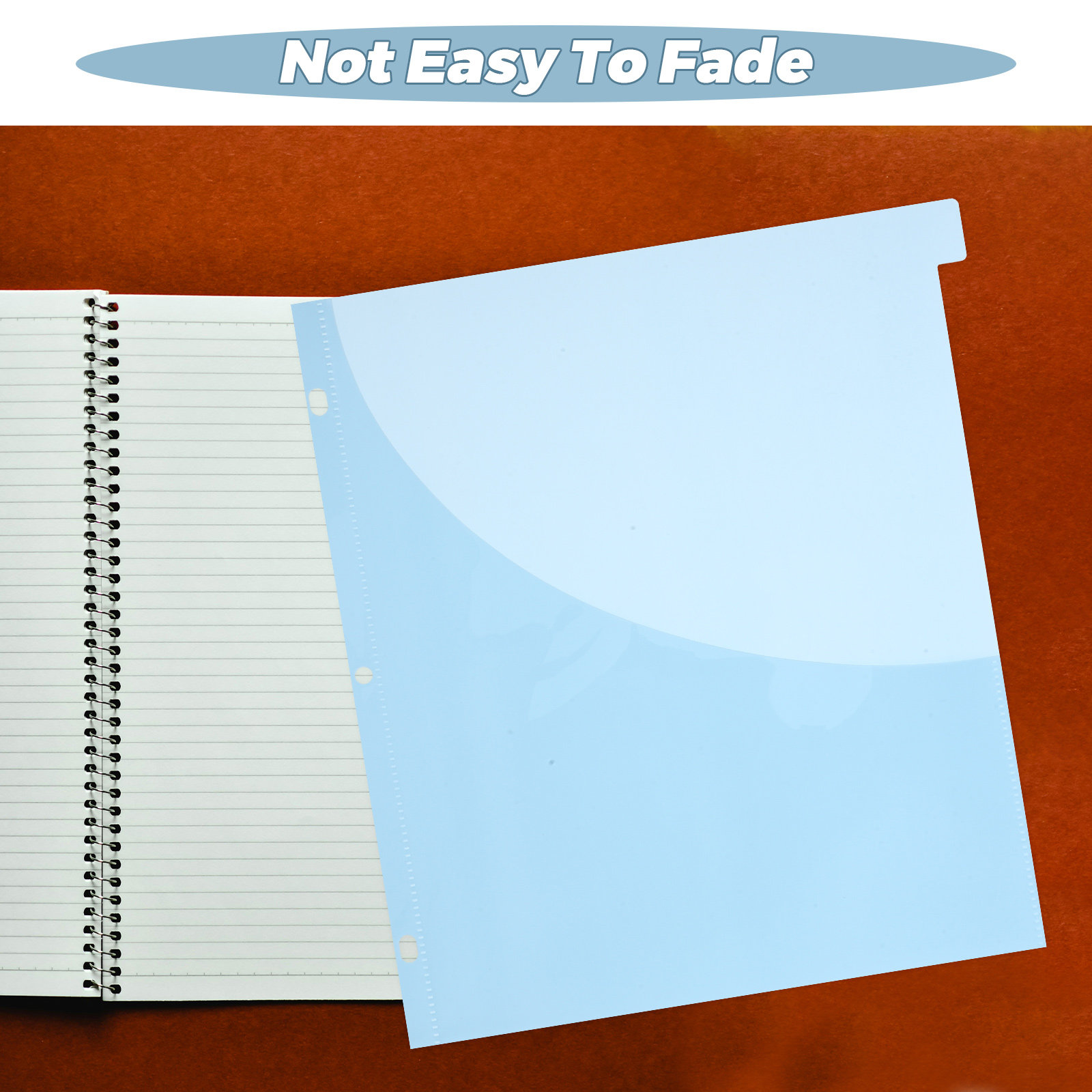 12Pcs Binder Dividers A4 Size  - Tab Divider A4 บทวิจารณ์และราคา